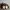 Adidas Casual Sneakers Pria tan photo 4