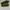 Converse Casual Sneakers Pria green photo 4