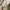 Japanese brand Vintage Cardigan Wanita white photo 6