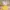 Casual Wanita yellow photo 1