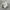 Adidas Casual Sneakers Wanita white photo 1