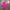 Lyle & Scott Sportswear Casual Jersey Wanita pink photo 1