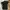 Polo Ralph Lauren Casual Polo shirt Pria black photo 1