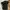 Polo Ralph Lauren Casual Polo Shirt Pria Black