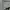 Adidas Sportswear Short Pria gray photo 5
