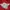 Nike Streetwear Casual Track jacket Pria white red photo 6