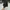Streetwear Futurist Sneakers Pria black gray photo 4