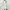 Fairy Coquette Maxi dress Wanita white photo 2