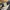 EDWIN Vintage Y2K Jeans Pria navy photo 6