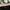 Longchamp Luxury Minimalist Handbag Wanita black photo 3