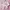 Lolita Fairy Crop top Wanita white pink photo 1