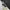 Nike Sportswear Sneakers Pria white black photo 1