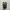 Nike Sportswear Sneakers Pria multicolor photo 5
