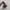 Nike Sportswear Sneakers Pria multicolor photo 4