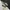 Nike Sportswear Sneakers Pria multicolor photo 1