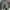 Cotton On Vintage Jeans Pria white photo 1