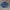 Blue Blue Japan Vintage Pria blue photo 1