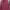 Pancoat Streetwear Hoody Pria pink photo 1