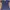 Lolita Cosplay Crop top Wanita navy photo 3