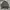 Crocodile Vintage Harrington jacket Pria gray photo 3