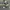 Crocodile Vintage Harrington jacket Pria gray photo 5