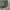 Crocodile Vintage Harrington jacket Pria gray photo 4