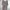 Minimalist Casual Bodycon dress Wanita tan brown photo 1