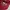 Obey Streetwear Hat Pria red photo 3