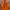 Budweiser Vintage Y2K Windbreaker Pria orange photo 1