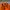 Budweiser Vintage Y2K Windbreaker Pria orange photo 5