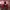 Vintage Reworked Fleece Pria red photo 1