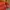 United Colors of Benetton Casual Pria red orange photo 5