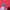 The North Face Gorpcore Track jacket Pria red black photo 5
