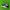Adidas Casual Sneakers Pria white black photo 3