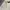 Columbia Gorpcore Parka Pria cream photo 5