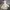 Columbia Gorpcore Parka Pria cream photo 2