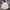 Columbia Gorpcore Parka Pria cream photo 1