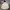 Columbia Gorpcore Parka Pria Cream