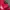 Nike Sportswear Jersey Pria red photo 2