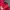 Nike Sportswear Jersey Pria Red
