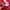 Nike Sportswear Jersey Pria red photo 4