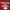 Champion Streetwear Sweater Pria white red photo 5