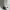 Avirex Vintage Hoody Pria white photo 4