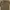Uniqlo Streetwear Indie Track Jacket Pria Brown
