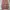 Streetwear Skater Jeans Pria pink photo 4