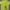 Casual Cardigan Wanita green photo 1