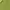 Casual Cardigan Wanita green photo 4