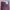 Casual Formal pants Pria multicolor photo 3