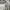 ZARA Minimalist Crop top Wanita white photo 5