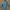 L.L.Bean Luxury Puffer jacket Wanita gray photo 2